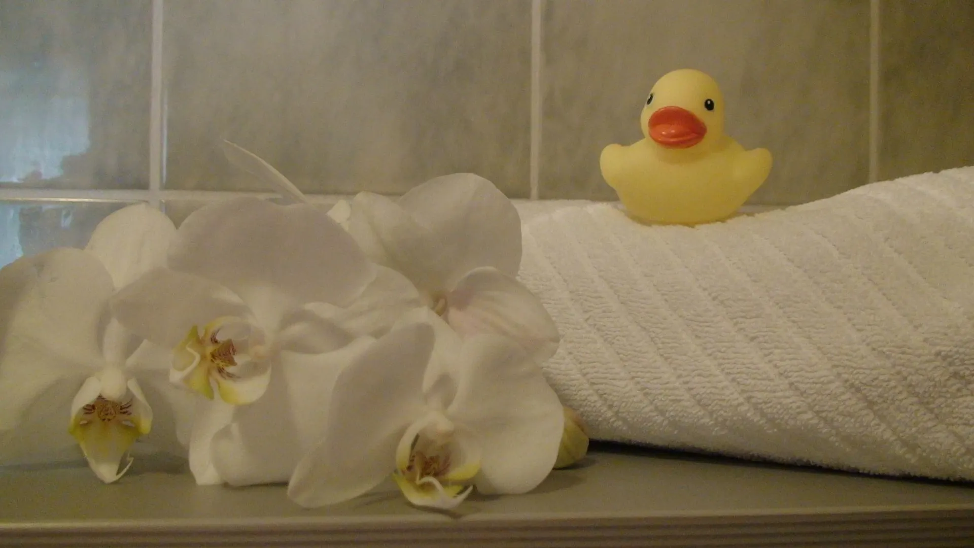 Hotel Cascade Superior デュッセルドルフ